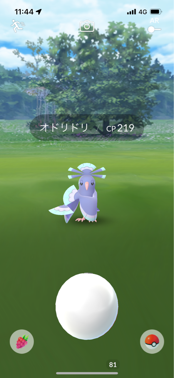 カラーフェスティバル ポケモンgoプレイ日記ブログ カラーフェスティバル ポケモンgoプレイ日記ブログ