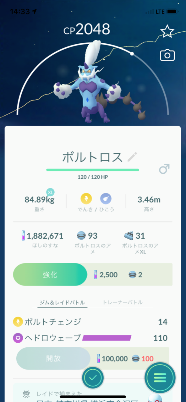 ボルトロス霊獣フォルム2人撃破 メガライボルトメガレイド ポケモンgoプレイ日記ブログ ボルトロス霊獣フォルム2人撃破 メガライボルトメガレイド ポケモンgoプレイ日記ブログ