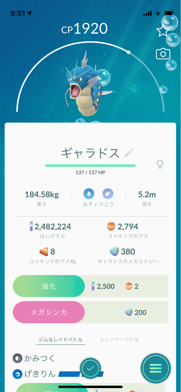 メガギャラドスメガレイド ポケモンgoプレイ日記ブログ