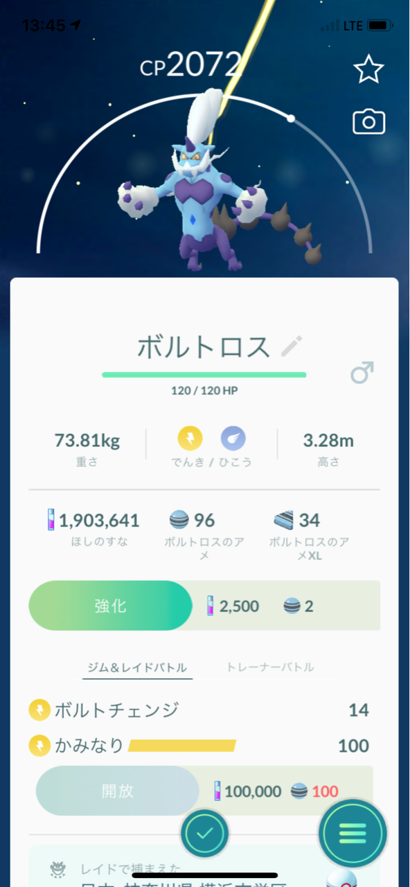 ボルトロス霊獣フォルムレイドバトル ポケモンgoプレイ日記ブログ