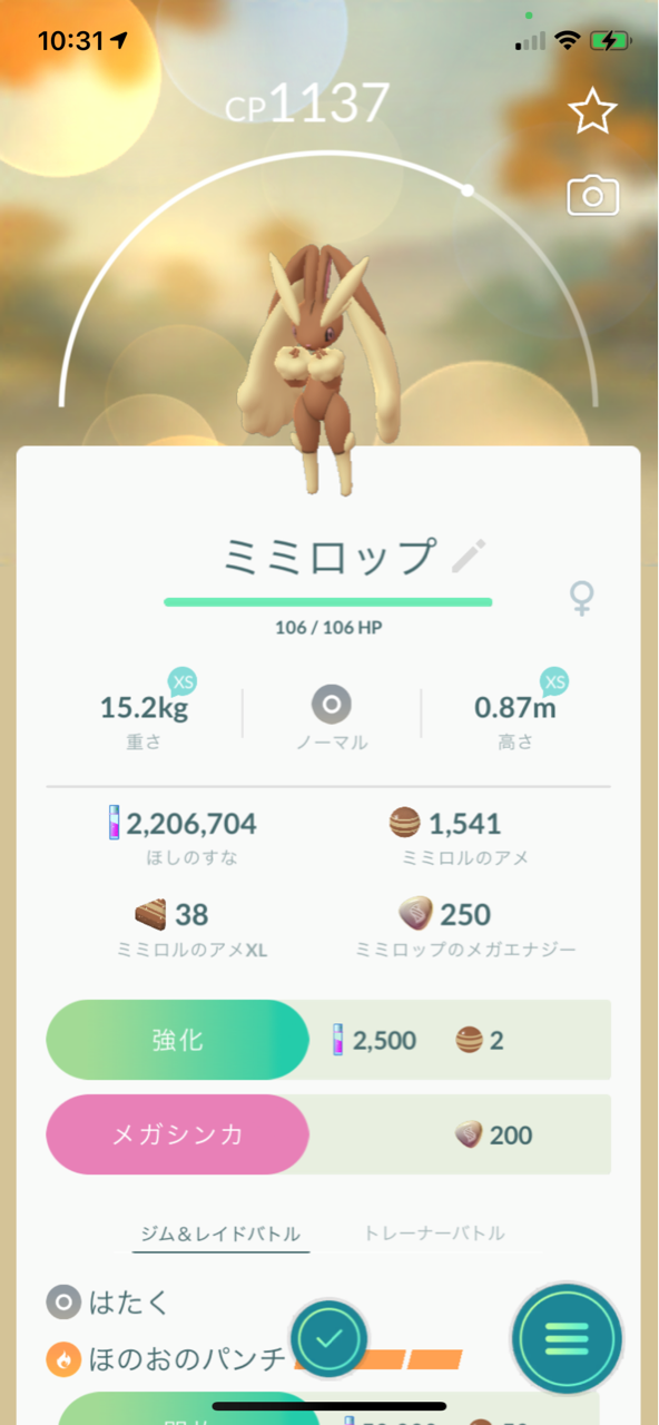 メガミミロップメガレイド3戦目 トルネロス霊獣フォルム7匹目ゲット ポケモンgoプレイ日記ブログ