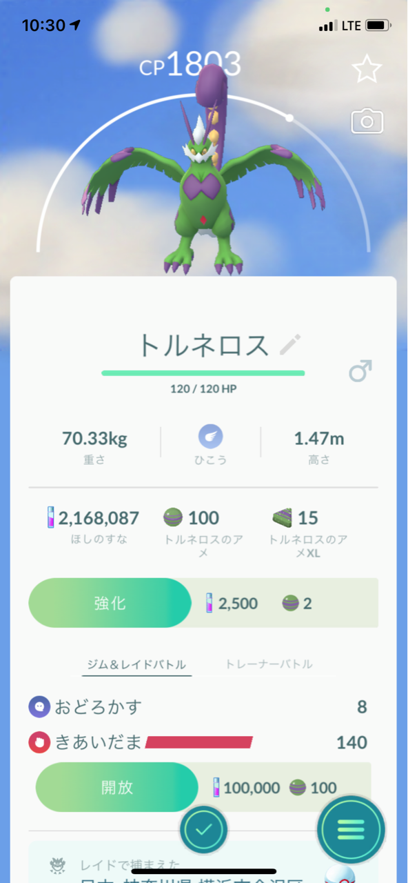 トルネロス霊獣フォルム2人撃破 ポケモンgoプレイ日記ブログ