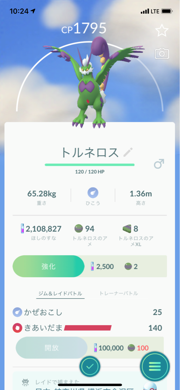 トルネロス霊獣フォルム2匹目ゲット ポケモンgoプレイ日記ブログ トルネロス霊獣フォルム2匹目ゲット ポケモンgoプレイ日記ブログ