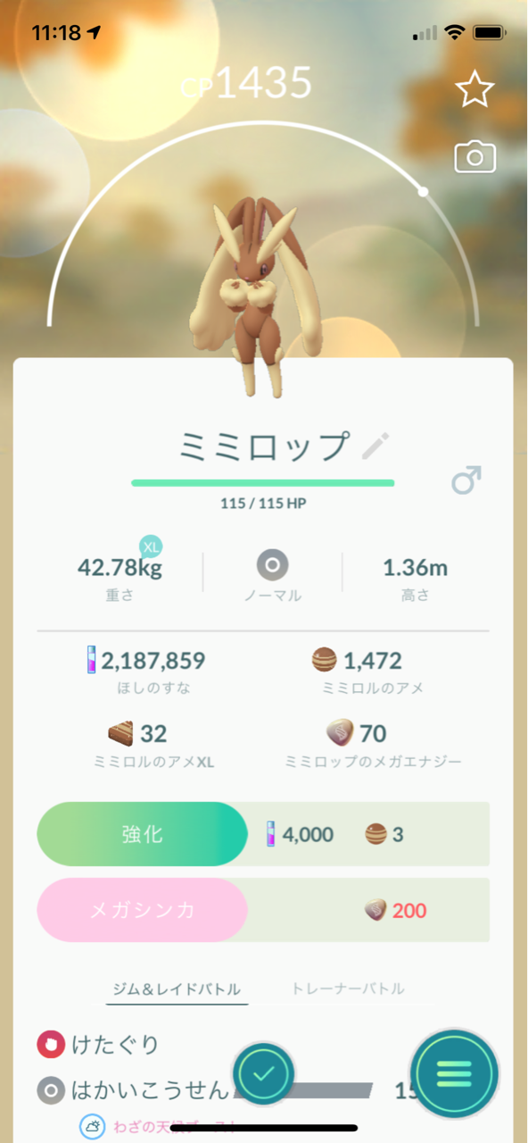 メガミミロップメガレイド トルネロス霊獣フォルム6匹目ゲット ポケモンgoプレイ日記ブログ