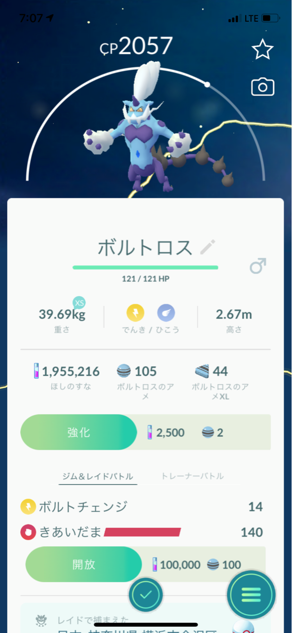 ボルトロス霊獣フォルムゲット アメタマスポットライトアワーでxp稼ぎ ポケモンgoプレイ日記ブログ