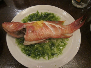 ishigaki114.jpg