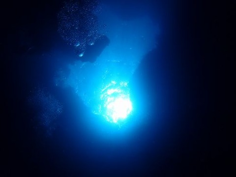 palau567
