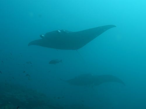 maldives657.jpg