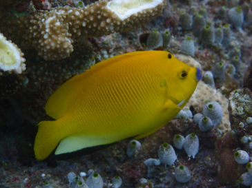 maldives373.jpg