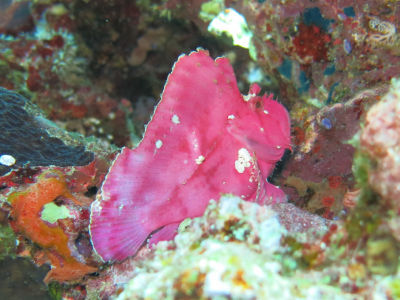 okinawa920.jpg