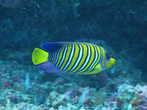 maldives646.jpg