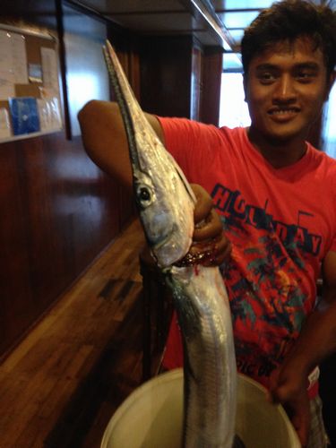 maldives687.jpg
