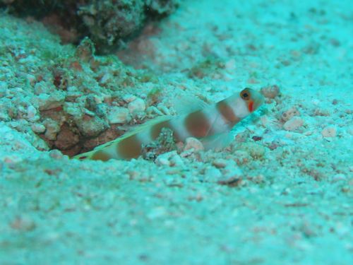 maldives637.jpg
