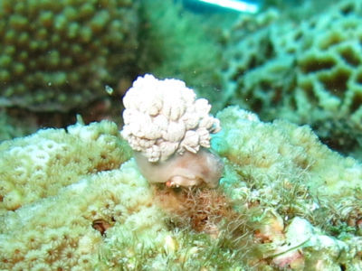 okinawa912.jpg