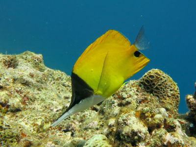 okinawa913.jpg