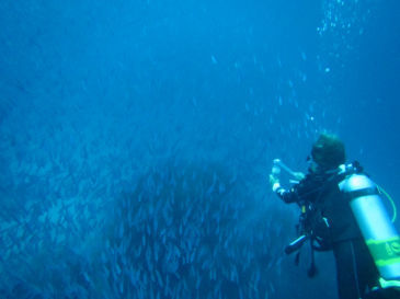 maldives4B2.jpg