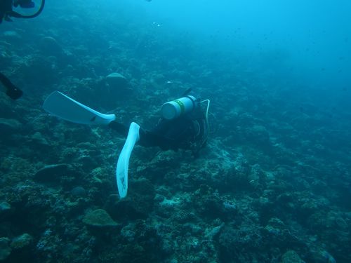 maldives683.jpg