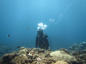 ishigaki117.jpg