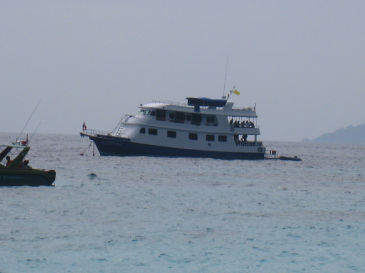 Manta Queen II