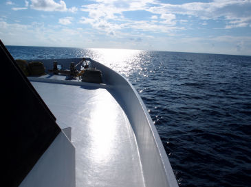 maldives299.jpg