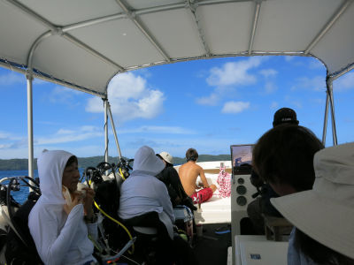 palau244.jpg