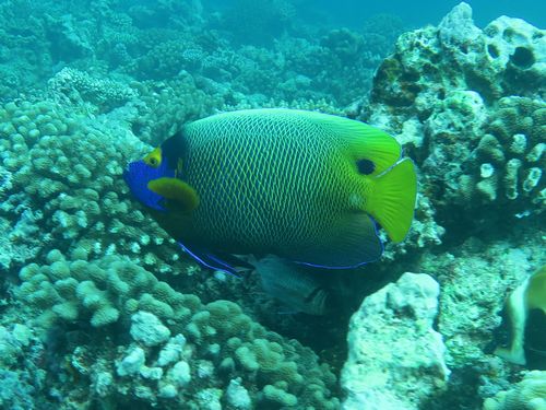 maldives636.jpg