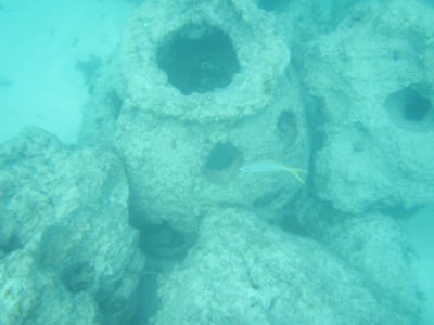 DCL154.jpg