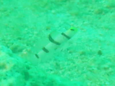 Maldives545.jpg