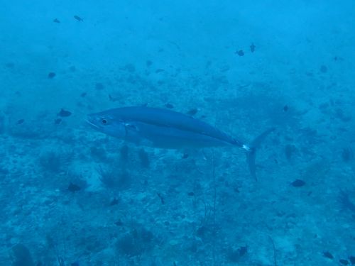maldives668.jpg