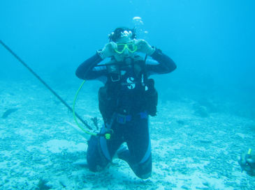 palau107.jpg