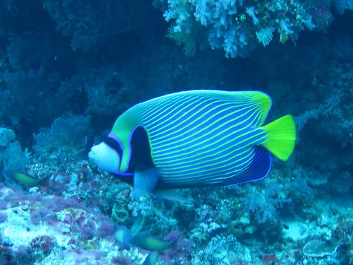 maldives642.jpg