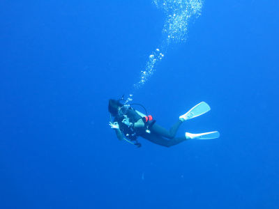 palau289.jpg