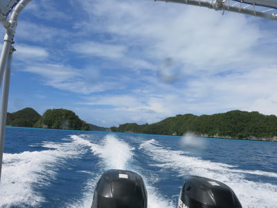 palau2B9.jpg