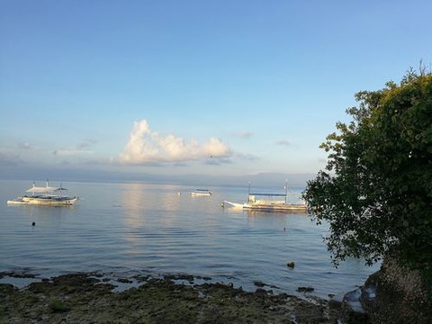 moalboal3d8