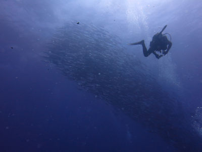okinawa926.jpg