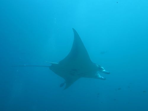 maldives658.jpg