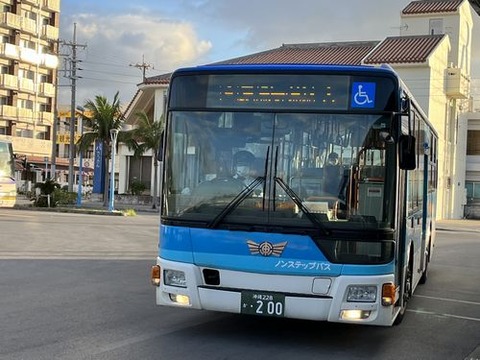 ishigaki248