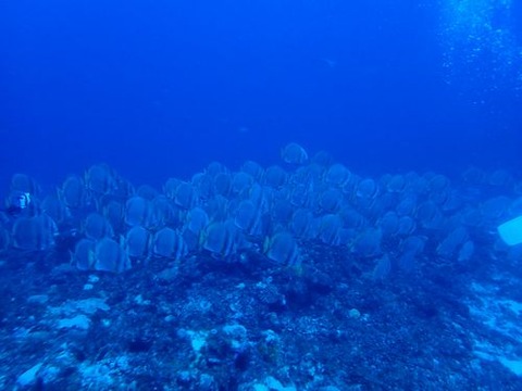 okinawa1719