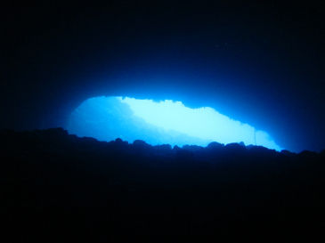 palau111.jpg