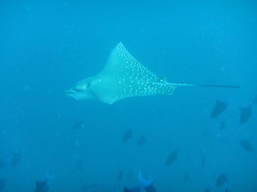 maldives4D7.jpg
