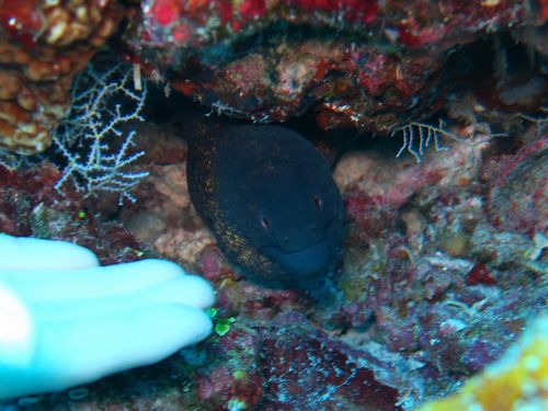 maldives629.jpg