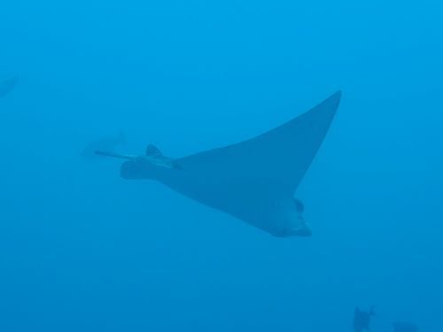 maldives653.jpg