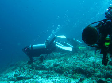 maldives230.jpg