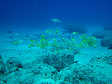 guam116.jpg