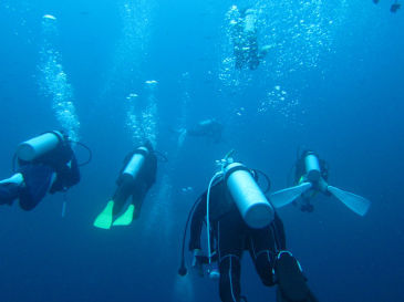 maldives295.jpg