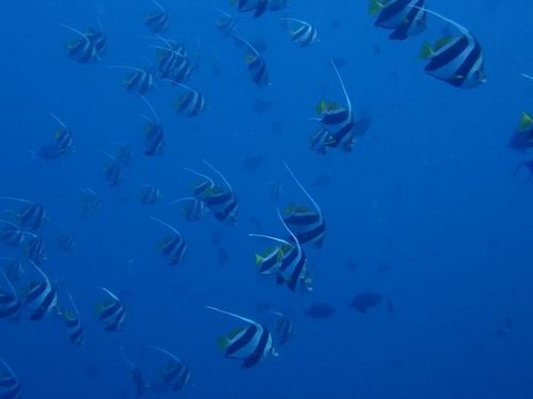 maldives724