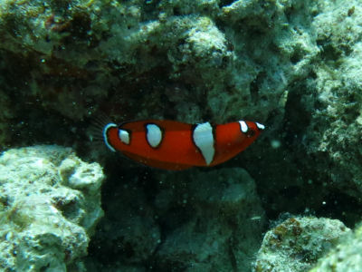 okinawa918.jpg