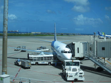 ishigaki103.jpg