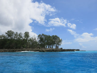 palau288.jpg