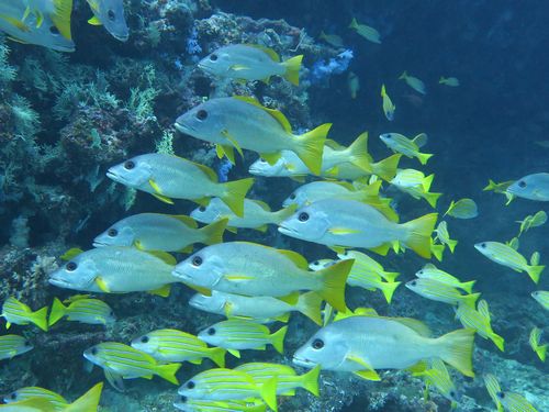 maldives645.jpg